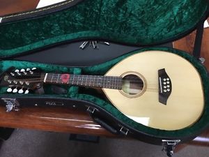 Thomas Buchanan Mandolin fitted with LR Baggs radius pickup