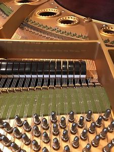 Complete Restored 1935 C Bechstein Model M