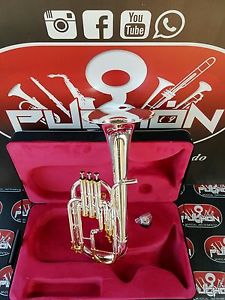 John Packer 172 Silver Alto horn (Original gold 18 k)