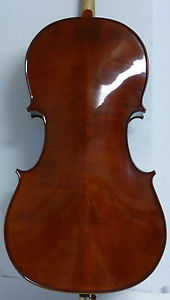 Top-Gelegenheit: nahezu neuwert. 4/4 Cello Set Allegro von der dt. Fa. GEWA !