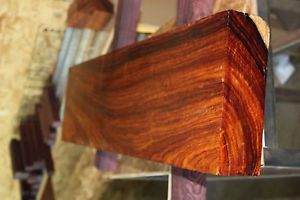 Mexican Cocobolo 2.80" x 8 3/4" x 32 3/4" #927