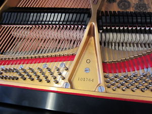 STEINWAY Grand Piano Vintage model O Top Quality Restoration and Big Sound