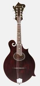 Eastman Mandolin MD514 LA F style Mandolin