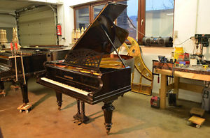 C.BECHSTEIN Flügel Modell B 203 cm