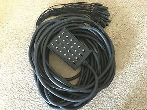 Mogami 24 Channel XLR Gold Snake Stage Box 100' Pro Audio LA