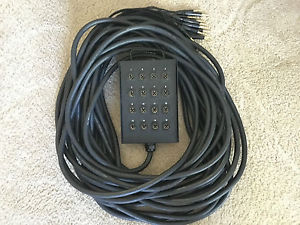 Mogami 16 Channel XLR TRS Gold Snake Stage Box 100' Pro Audio LA