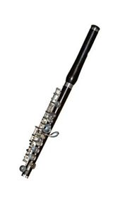 BRAND NEW RS BERKELEY ARTIST WOOD PICCOLO P1200 WITH CASE AND WARRANTY