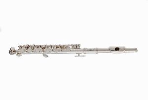 NEW RS BERKELEY ELITE SERIES STUDENT PICCOLO P101 WITH CASE AND WARRANTY