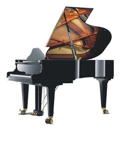 Schimmel-Konzertflügel Mod 256, 256cm lang, schwarz poliert