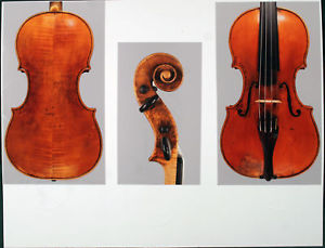 A rare, fine certified violin by Mathias Albani, 1675