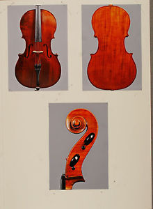 A very fine, old certified French cello by Francois Barbe Pere, ca. 1835
