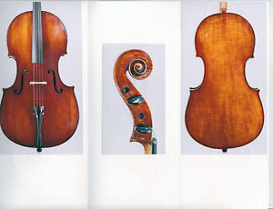 A very fine, certified Italian cello by Giulio Degani, ca. 1910.