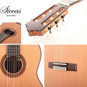 Dietmar Heubner – 2016 Meistergitarre - Gitarre