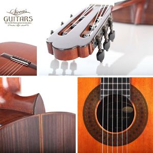Milestones of Music – Torres Modell Relic 63 cm - 2016