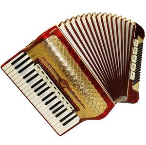 Weltmeister 96 Bass 14 Registers + Case, Close to New German Piano Accordion 725