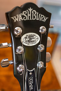 Washburn WM-100 Custom Shop USA