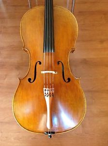 Violoncelli