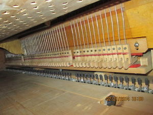 Steinway Player Grand Action detailed for 5'10" in my Ebay Store; pics of action