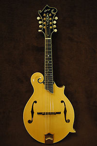 Collings MF5 (F1641)