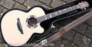 NEU Takamine TSF48C CTP3 Cool Tube Santa Fe mit Case Made in Japan