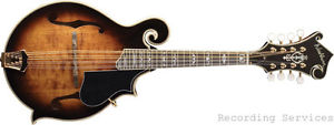 Washburn M6SW Jethro Burns F-Style Mandolin Sunburst M6 M6SWK  Dealers M6